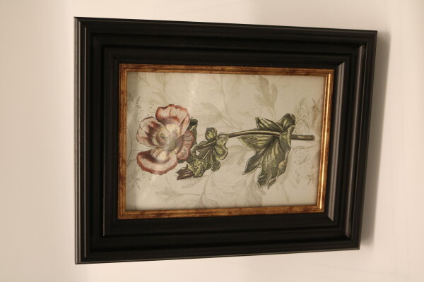 Bild "Rose"